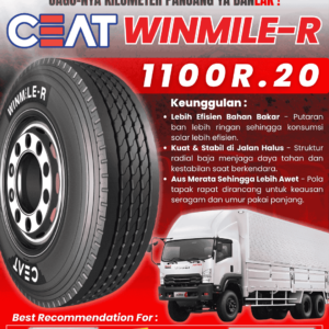 BAN TRUK CEAT WINMILE-R 1100R.20