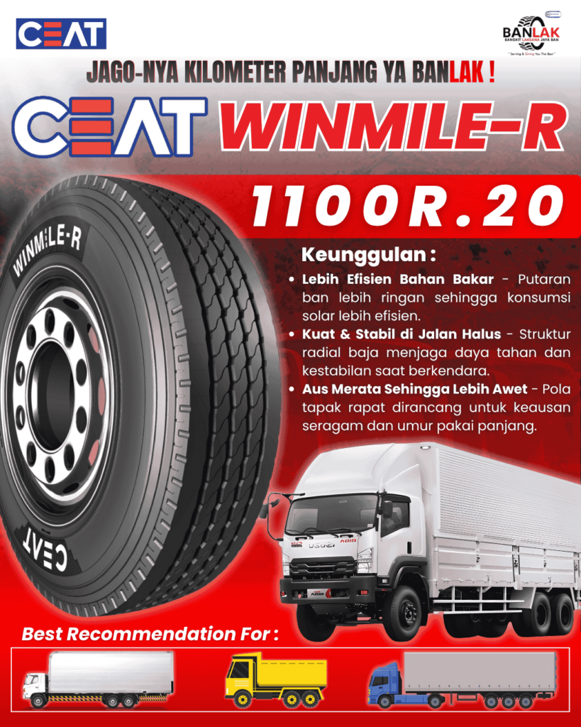 BAN TRUK CEAT WINMILE-R 1100R.20