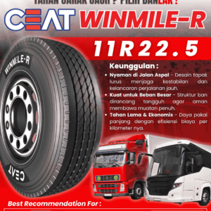 BAN TRUK BUS 11R22.5