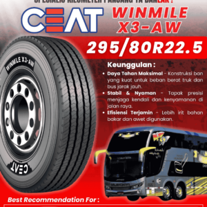 Ban Bus 295/80R22.5